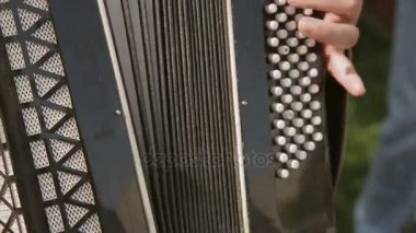 Akordiyon çalmaya müzisyen