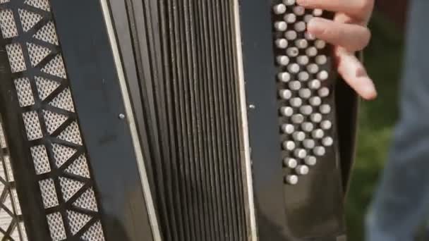 The musician playing the accordion — Stock Video