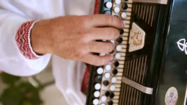 Ein Mann spielt Ziehharmonika in der ukrainischen Nationalkleidung — Stockvideo