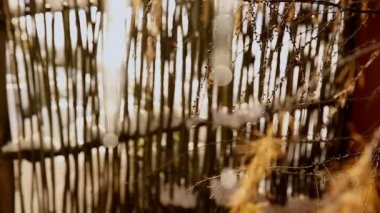 Büyük buz sarkıtları çatıda erime. Baharın başlangıcı. Kar erimez. Buz sarkıtları ile damlama