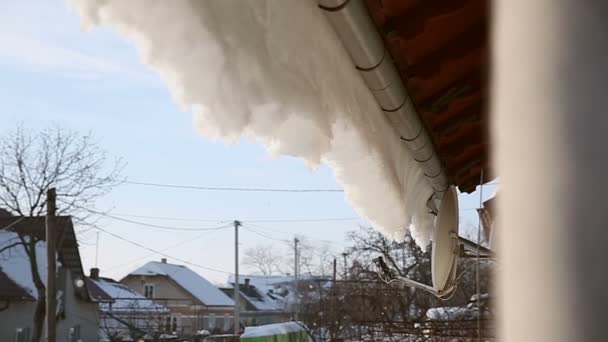 Droppar av vatten från smältande snö från taket på en solig dag. Snö som faller från taket till marken. — Stockvideo