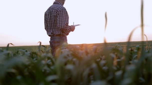 Agricultor examina o campo ao nascer do sol e escreve algo no caderno. Movimento lento — Vídeo de Stock