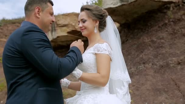 Varios momentos de ternura en el día de la boda. La pareja de boda en la naturaleza se está abrazando. Novia de belleza con novio. Retrato femenino y masculino — Vídeo de stock