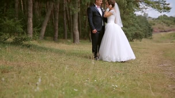 Varios momentos de ternura. Hermosa pareja de boda en el parque. Se abrazan. — Vídeos de Stock