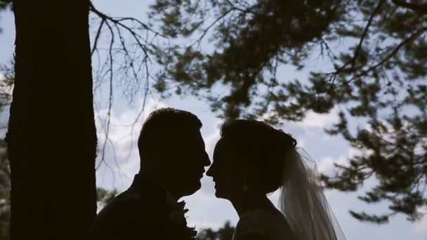 Casal jovem beijando suavemente. Cara de perto — Vídeo de Stock