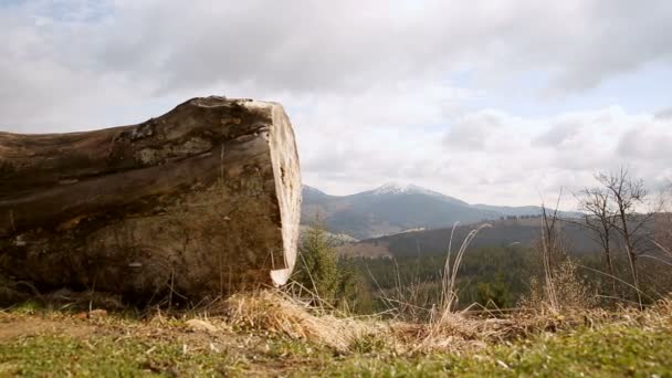 Umgestürzte Bäume auf einer Bergkulisse. die Gipfel sind mit Schnee bedeckt, Vorfrühling — Stockvideo