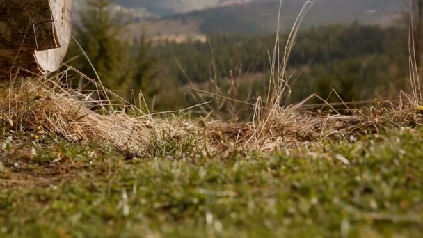 Eine wunderschöne Berglandschaft im zeitigen Frühling. Unglaubliche Schönheit — Stockvideo