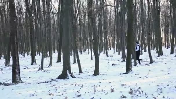 Treinamento de inverno jovem corredor no parque — Vídeo de Stock