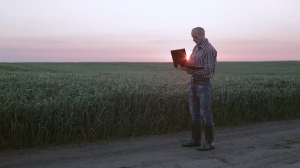 Farmer at dawn with a laptop computer making records — Stock Video
