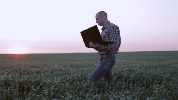 Joven agrónomo observando el crecimiento del trigo con portátil — Vídeo de stock