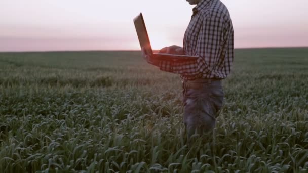 Jovem agricultor trabalhando em um campo com um computador portátil no pôr do sol — Vídeo de Stock