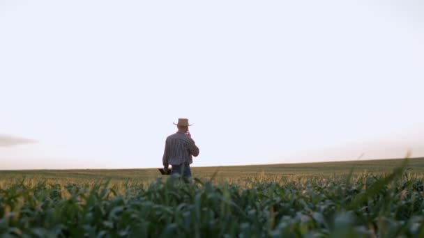 Agricultor comunicar por telefone com um chapéu de palha ao pôr do sol. Movimento lento — Vídeo de Stock