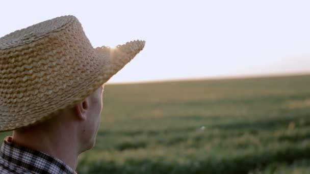 Jovem agrônomo em chapéu de palha ao nascer do sol. Movimento lento — Vídeo de Stock