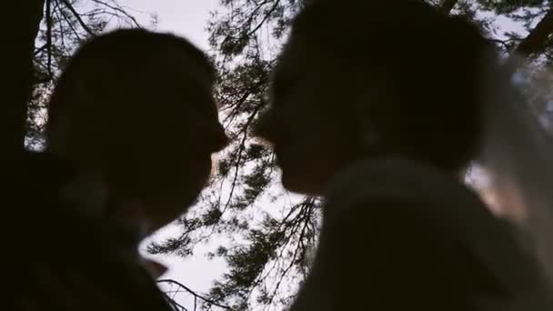轻轻地亲吻的年轻夫妇。脸上关闭 — 图库视频影像