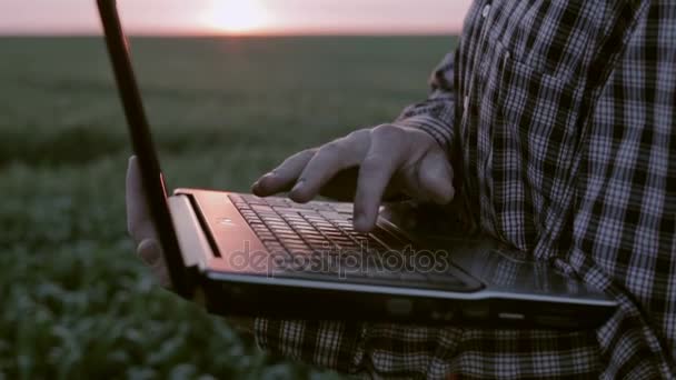 Jeune agronome avec un ordinateur portable dans le champ vert au coucher du soleil. Mouvement lent — Video