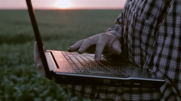 Joven agrónomo con un portátil en el campo verde al atardecer. Movimiento lento — Vídeos de Stock