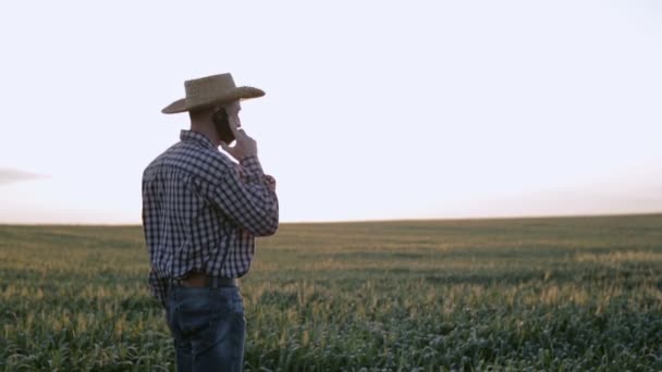 Landbouwingenieur met de telefoon op de achtergrond van de groene weide bij zonsopgang. Slow motion — Stockvideo