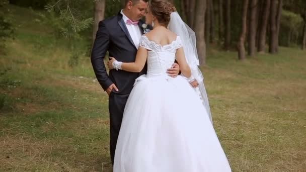 Beau couple de mariage dans le parc. Ils s'embrassent. — Video