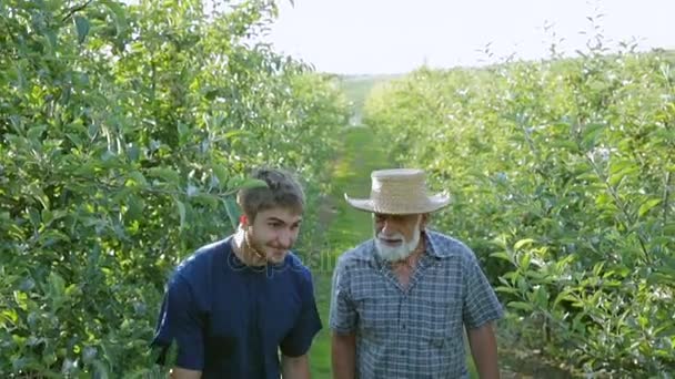 Портрет щасливого дідуся і онука, які ходять в сад і розмовляють. Старий і молодий садівник з бородою. Схожі на зовнішній вигляд — стокове відео