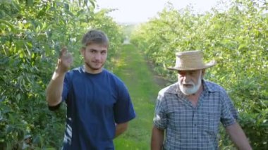 Dede ve torunu birlikte Bahçe nişanlandık. Aile şirketi