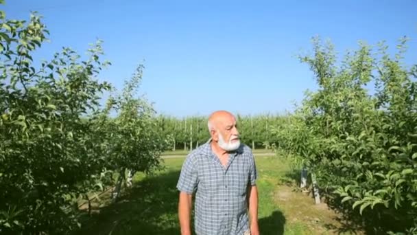 Фермер у сорочці з бородою в саду — стокове відео