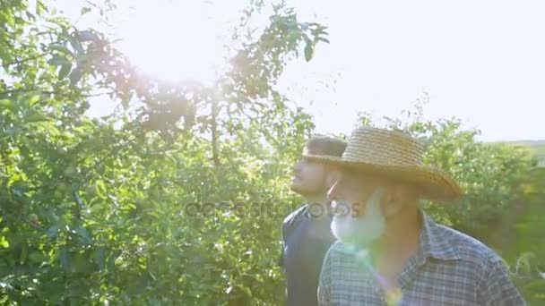 Transfer of family business from grandfather to grandchild. A walk in the orchard — Stock Video