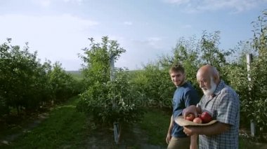 Çiftçi toplanan elma bir şapka taşır. Büyükbaba bir elma torunum verir. Hasat daha önce bahçede yürüyüş