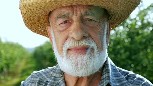 Retrato de un viejo granjero hermoso y feliz con barba — Vídeo de stock