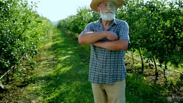 Ritratto di un vecchio agricoltore orgoglioso in piedi con le mani giunte con un giardino sullo sfondo. Un vecchio giardiniere esperto, uno sguardo alla macchina fotografica. Un contadino orgoglioso e felice con le mani croccanti — Video Stock