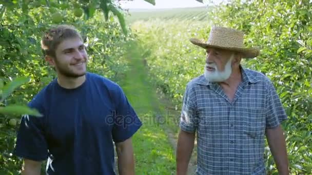Happy jordbrukare gå runt trädgården — Stockvideo