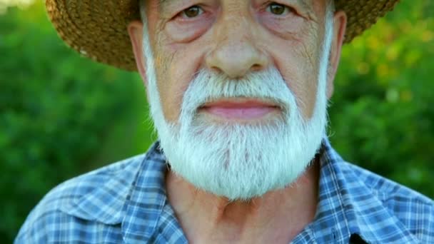 Старый фермер с бородой на поле. Портрет фермера в шляпе — стоковое видео