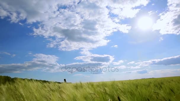 Un niño feliz corriendo en un campo de trigo en el fondo del cielo. Movimiento lento — Vídeos de Stock