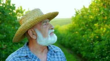 Gri sakallı yaşlı bir adam gökyüzüne doğru görünüyor. Arka planda yeşil meyve bahçesi.