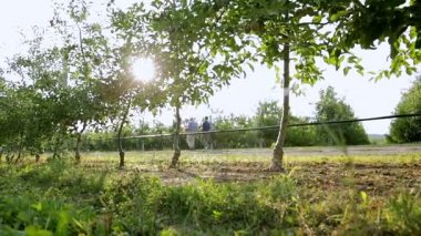 Çiftçiler bahçeleri incelemek