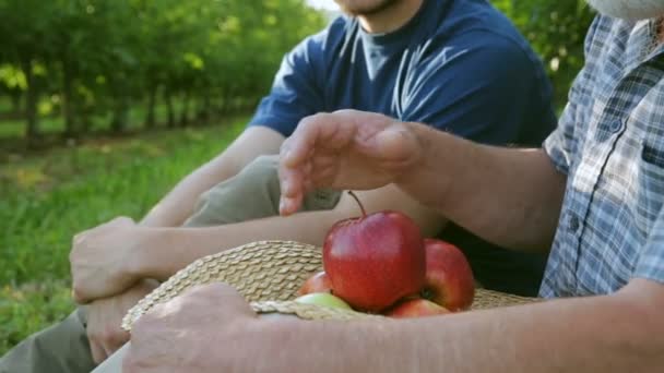 Zemědělec ukazuje nové odrůdy jablek. Rukou zblízka — Stock video