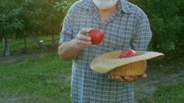 Adam bahçede elma ürün sahiptir