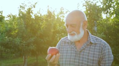 Elma yeni ürün mutlu çiftçinin sevinmektedir