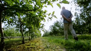 Başarılı ve mutlu bir işadamı için meyve gider
