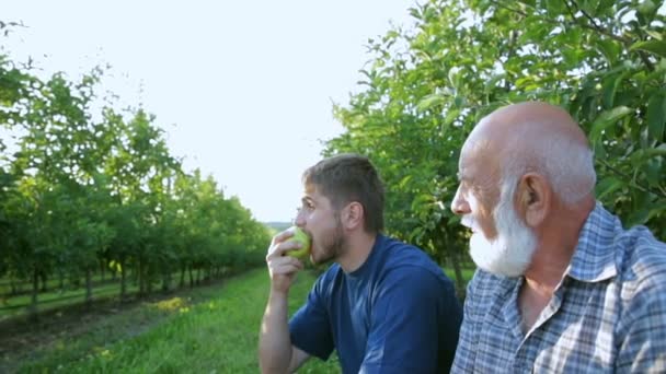 Фермеры отдыхают в саду, где едят новый урожай яблок — стоковое видео