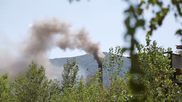 Inquinamento atmosferico causato dalla pianta. Fumo e tubi attraverso i rami verdi di un albero . — Video Stock