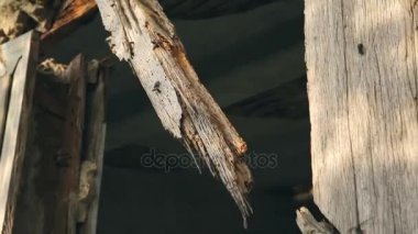 Ahşap evlerin teknoloji kil ile bulaşmış