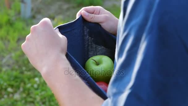 Herfst oogst: een jongen draagt een appel in een shirt — Stockvideo