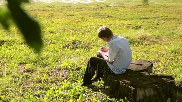 Een jonge kunstenaar zit op een boomstronk en trekt een potlood op papier. Het landschap is bij de zonsondergang. Slow motion — Stockvideo