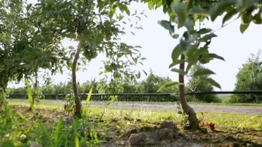 İki işadamları kendi alanlarında incelemek