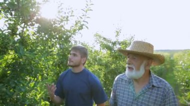 Başarılı iş adamları iş incelemek ve onun daha da geliştirilmesi hakkında konuşmak