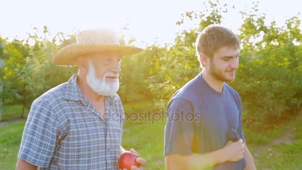 Glückliche Bauern gehen zum Sonnenuntergang — Stockvideo