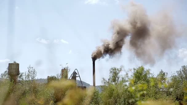 Rök från röret. Luftföroreningar från anläggningen. — Stockvideo