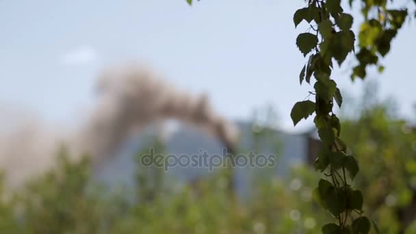 Inquinamento atmosferico causato dalla pianta. Fumo e tubi attraverso i rami verdi di un albero . — Video Stock