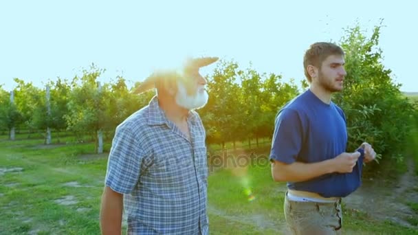 Dois homens barbudos estão envolvidos no cultivo de maçãs naturais — Vídeo de Stock