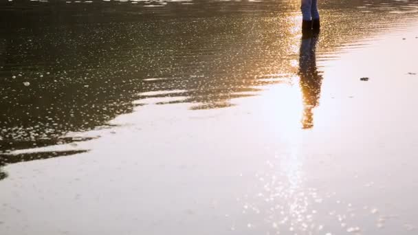Ένας ψαράς που στέκεται στη μέση ενός ποταμού και την αλίευση ψαριών — Αρχείο Βίντεο